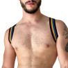 Barcode Berlin Harnais élastique Pride Eternity Noir